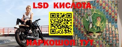 2c-b Кингисепп