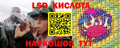 2c-b Кингисепп