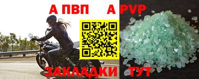 2c-b Кингисепп