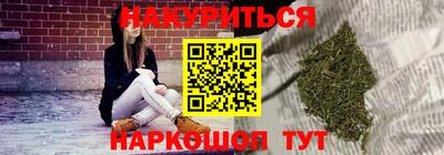 2c-b Кингисепп