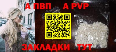 2c-b Кингисепп